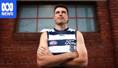 Which AFL clubs won the trade period and why the compromised drafts played a huge part