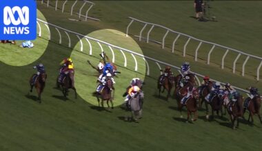 Ohope Wins euthanased after Caulfield Cup fall with Melbourne Cup winner Half Yours
