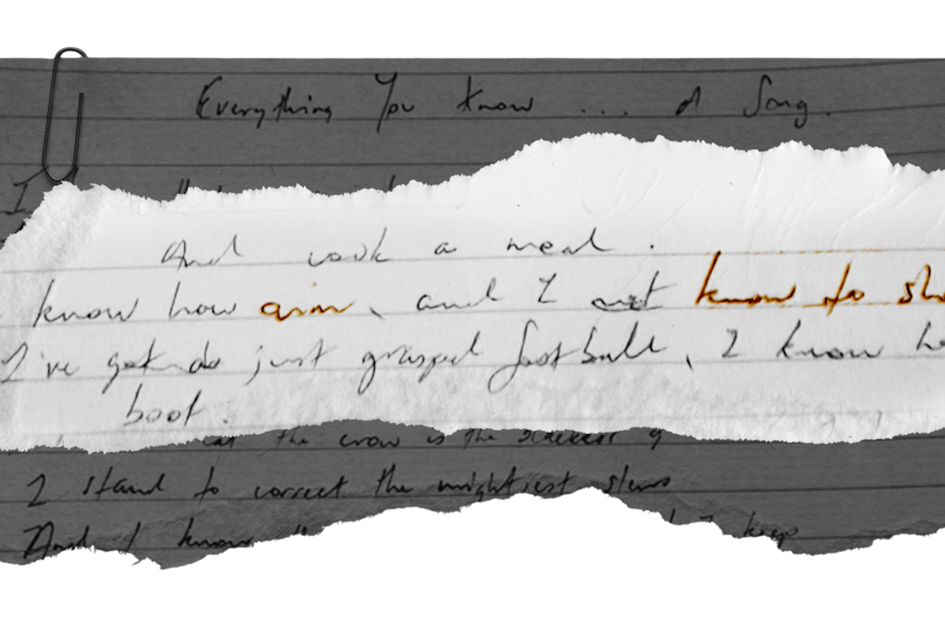 lines of handwriting scrawled on notepaper and ripped on the edges.
