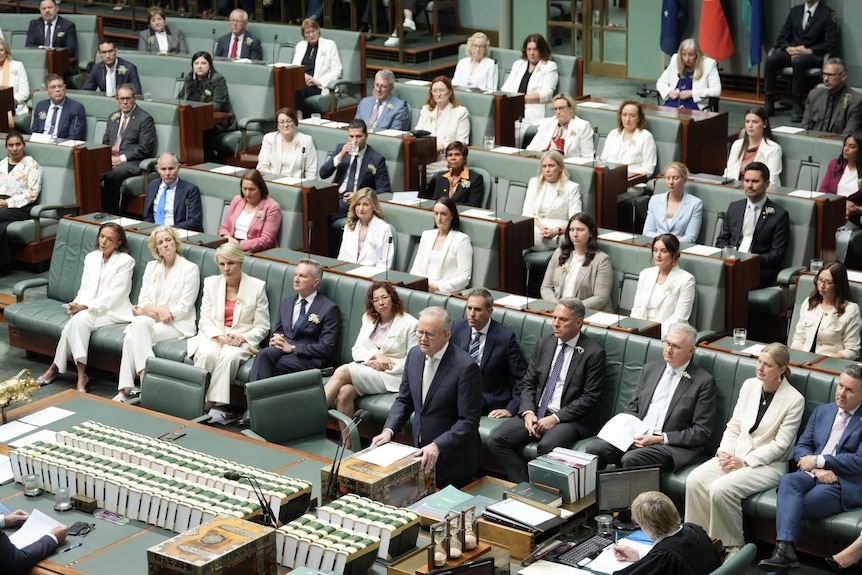 Prime Minister Anthony Albanese speaks with Labor MPs behind him, many of them wearing white for Helen Haines.