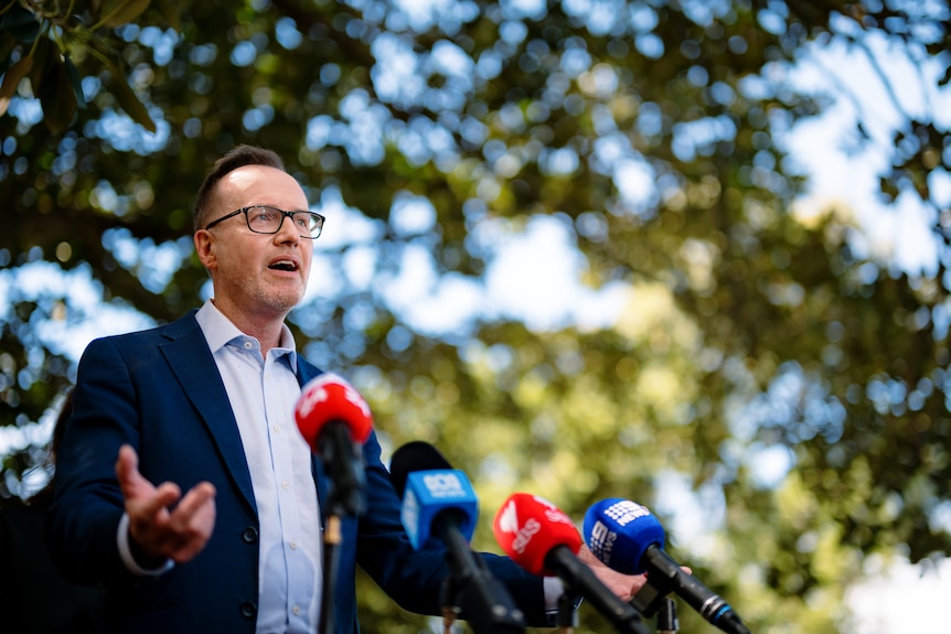 David Shoebridge speaking in front of microphones with large green leafy tree in background.