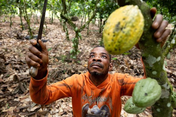 Poor weather in West Africa has pushed up cocoa prices, which is not a good sign for chocolate lovers.