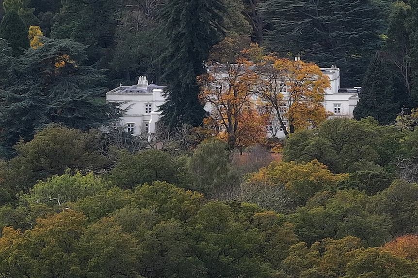 A drone shot of a white mansion pictured through a dense forest.