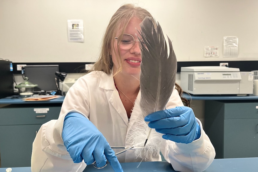 Researcher Abby Bryce working with a large bird feather.