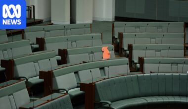 A cardboard cockatoo sits in tribute for Helen Haines as MPs are urged to 'let light win over darkness'