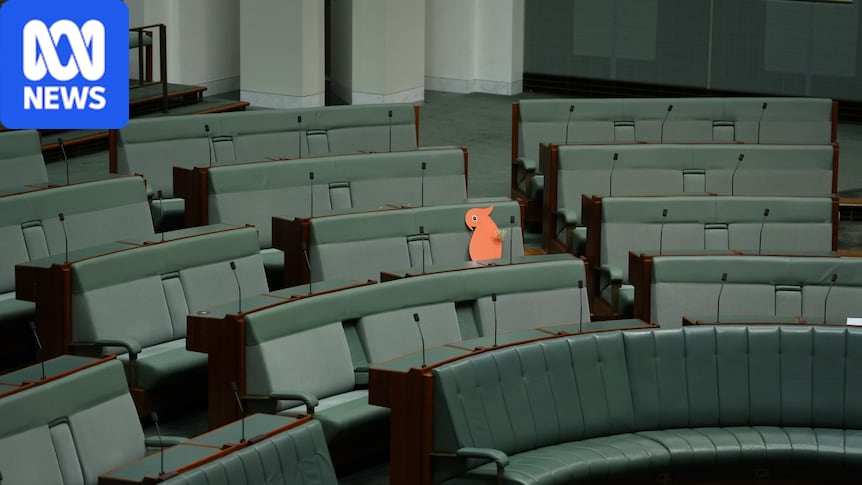 A cardboard cockatoo sits in tribute for Helen Haines as MPs are urged to 'let light win over darkness'