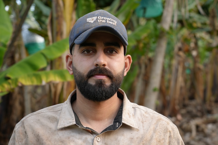 A farmer wearing a beige shirt looks into the camera seriously, standing in front of his banana crops