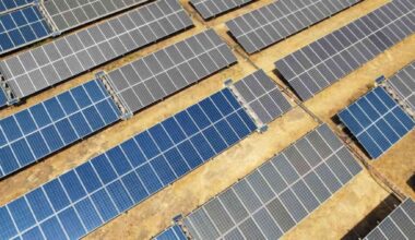 Rows of solar panels cleaned by Ecoppia robots