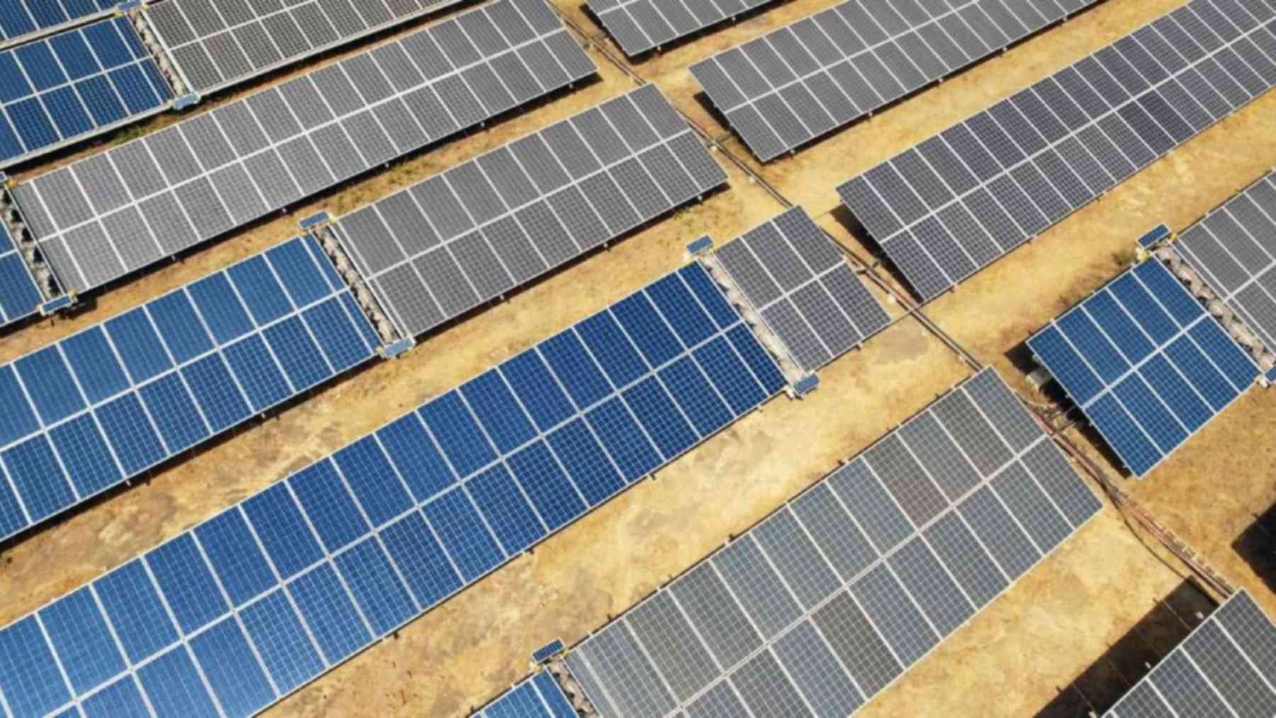 Rows of solar panels cleaned by Ecoppia robots