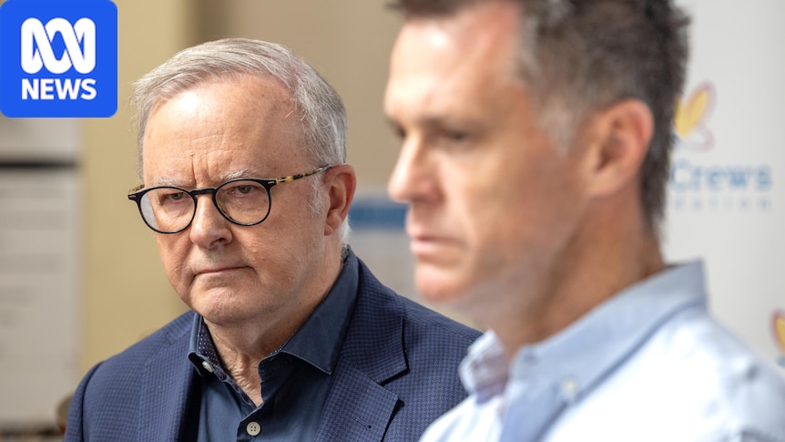 After rate hikes and inflation woes, the last thing Albanese needed was advice from Minns
