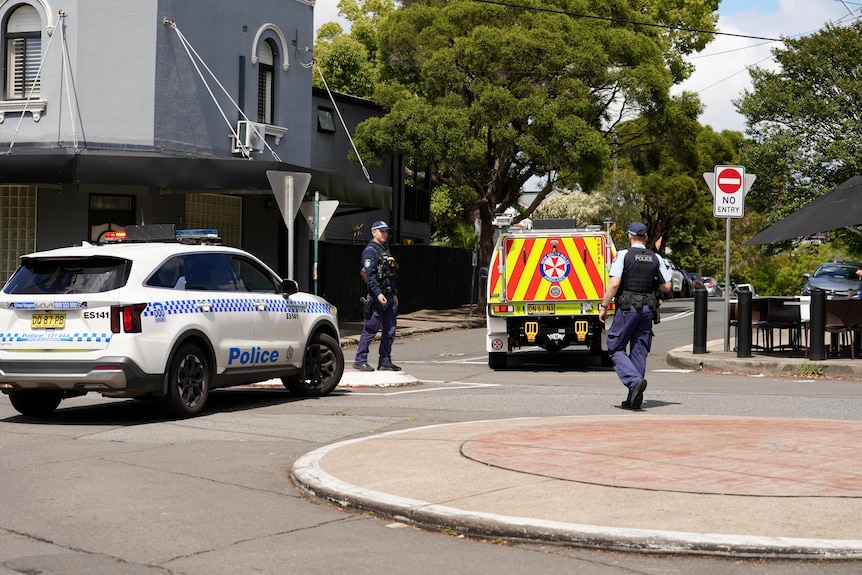 A police car and an ambulance near a roundabout with two officers seen walking around.