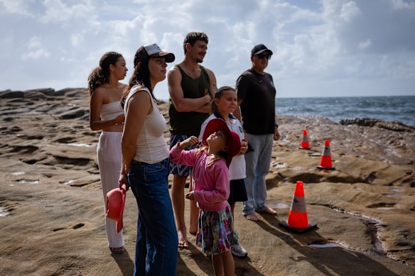 Onlookers gather after a whale carcass washed up in Lurline Bay in South Coogee.