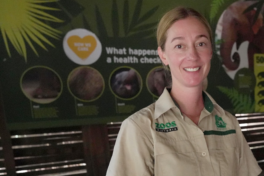 A woman in a beige short-sleeve shirt with zoo logos standing in front of an elephant display.