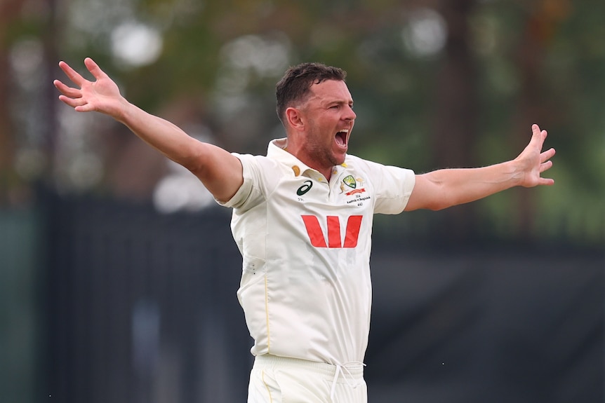Josh Hazlewood shouts with his arms outstretched