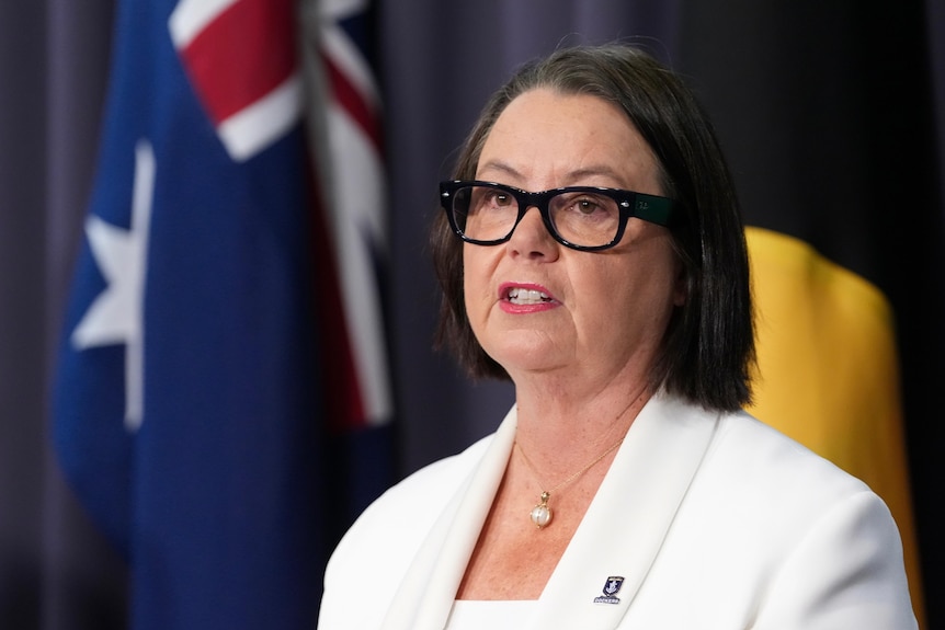 Federal ministers dressed in suits speak at a podium flanked by Australian flags.