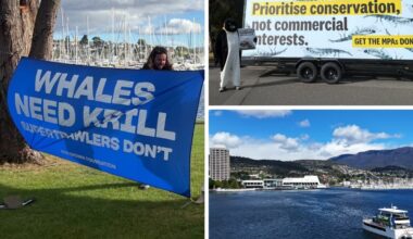 CCAMLR conference: Our Antarctica stages krill protest in Hobart