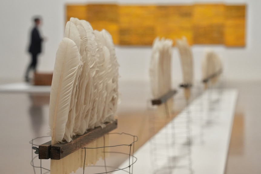 Four separate bunches of white feathers in a line inside a gallery, blurred person in the background and yellow painting