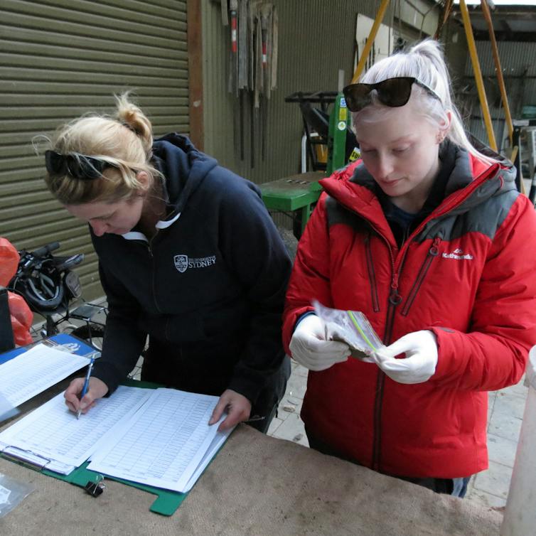 Two women conduct research, looking at samples and taking notes.