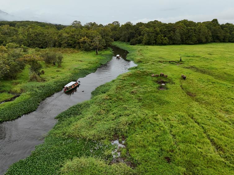 A river winds its way through lush, green grasslands.
