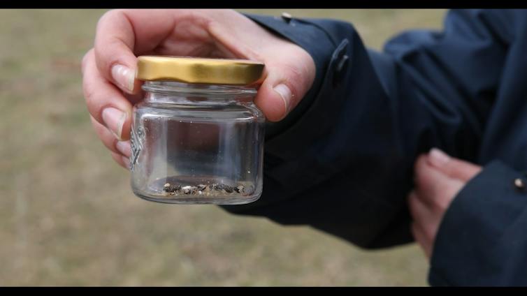 A woman holds a jar of tiny droppings.