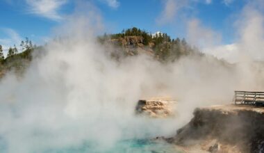 We discovered an organism that lives at blistering temperatures – but what allows it to take the heat?