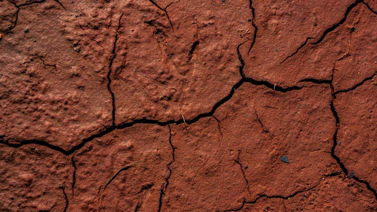 red cracked soil