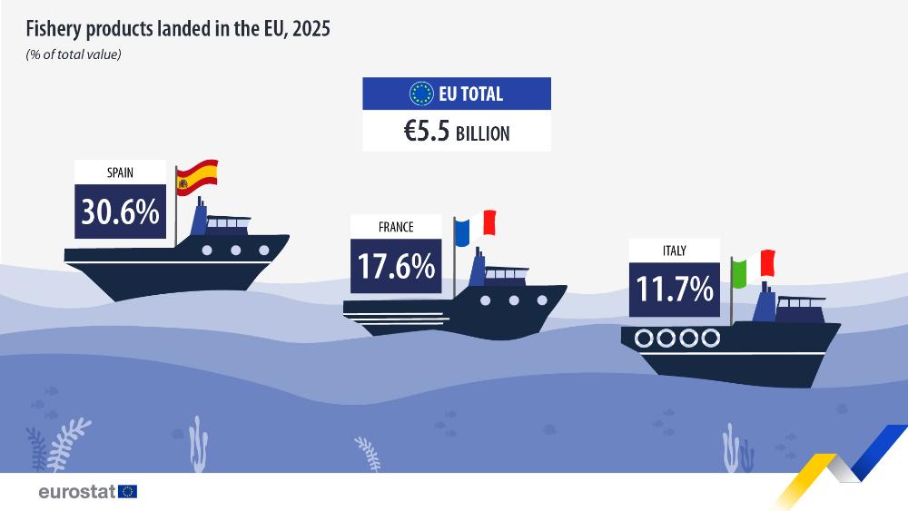Fishery products landed in the EU, 2025 (% of total value). Infographic. See link to the full dataset below.
