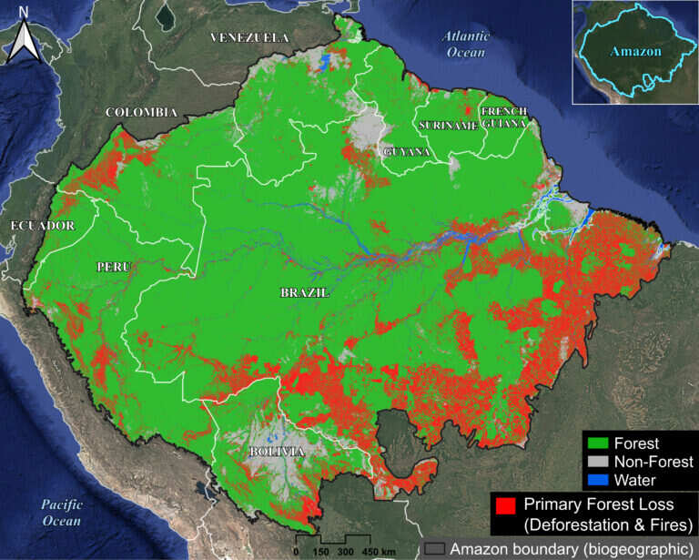 Amazon primary forest loss. Data: Amazon Conservation/MAAP, UMD. Forest loss in Amazon