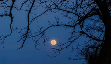 October’s night sky is full of cosmic tricks and treats