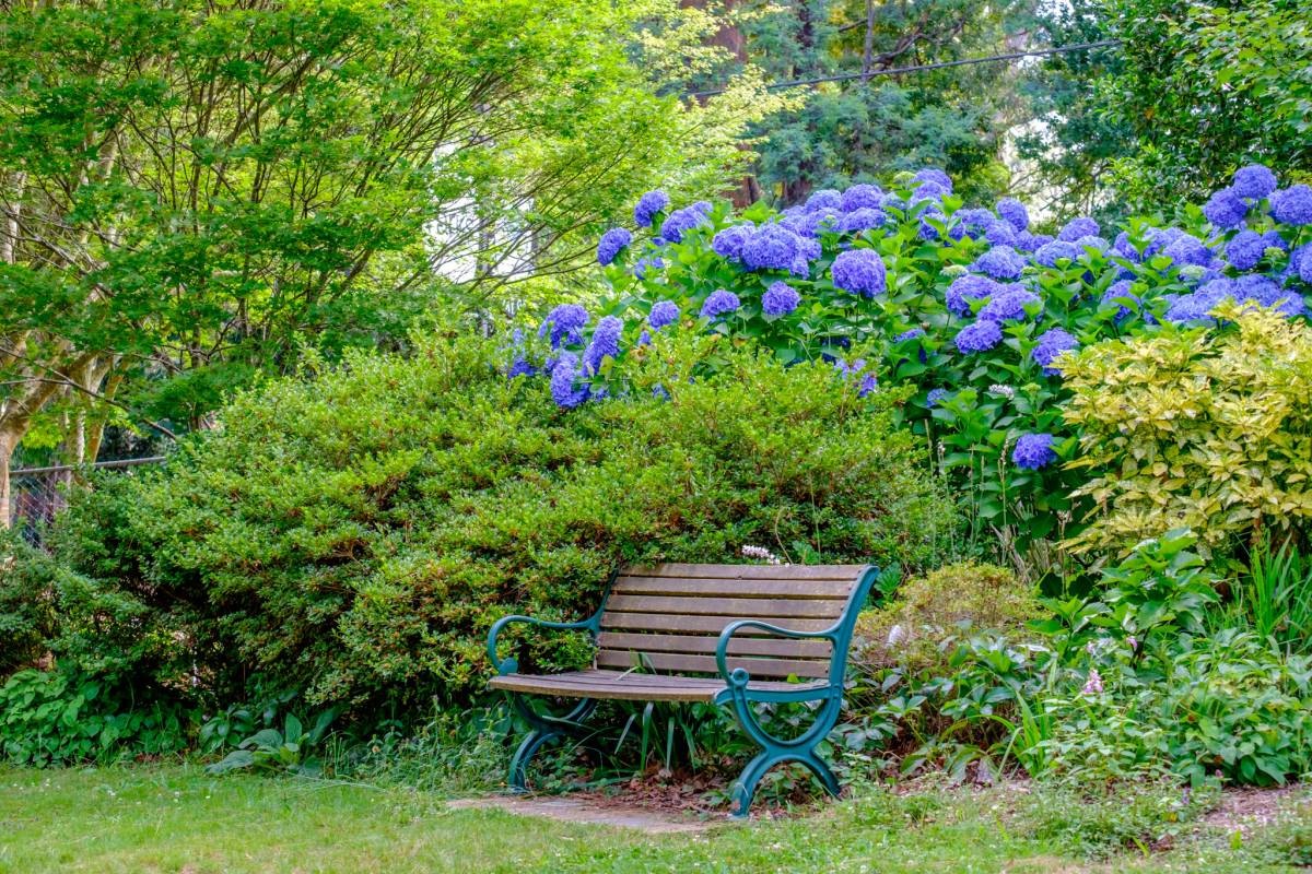 In 1980, this scientist's garden in the Dandenong Ranges was donated to the state; today, it's thriving with colourful spring blooms