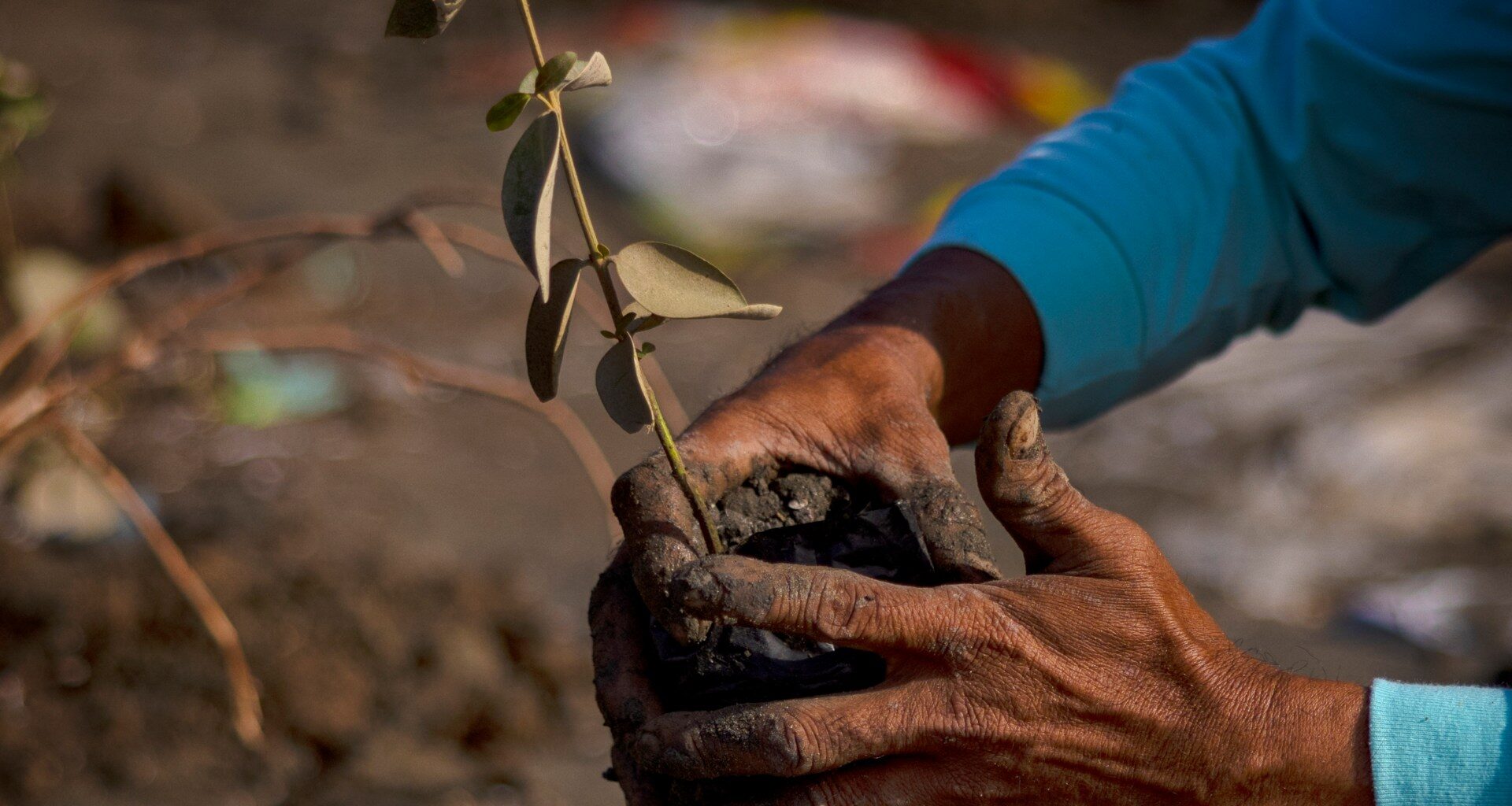 Restoring nature is key to a more resilient future | Environment