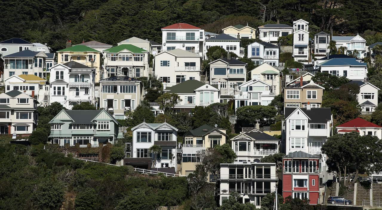 Single-block homes on a hill in Wellington, New Zealand