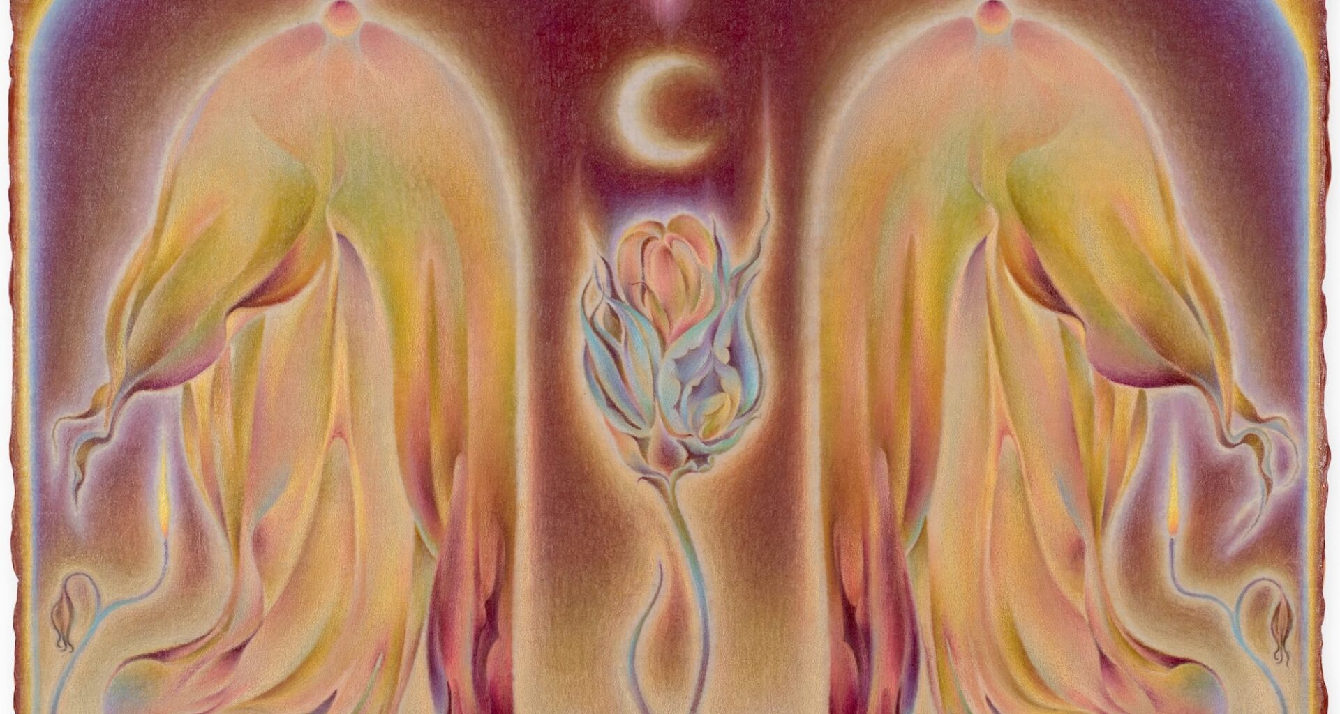 an abstract, surreal, dreamy painting with slightly fuzzy edges made with oil paint and colored pencil referencing flowers and the moon in a symmetrical composition
