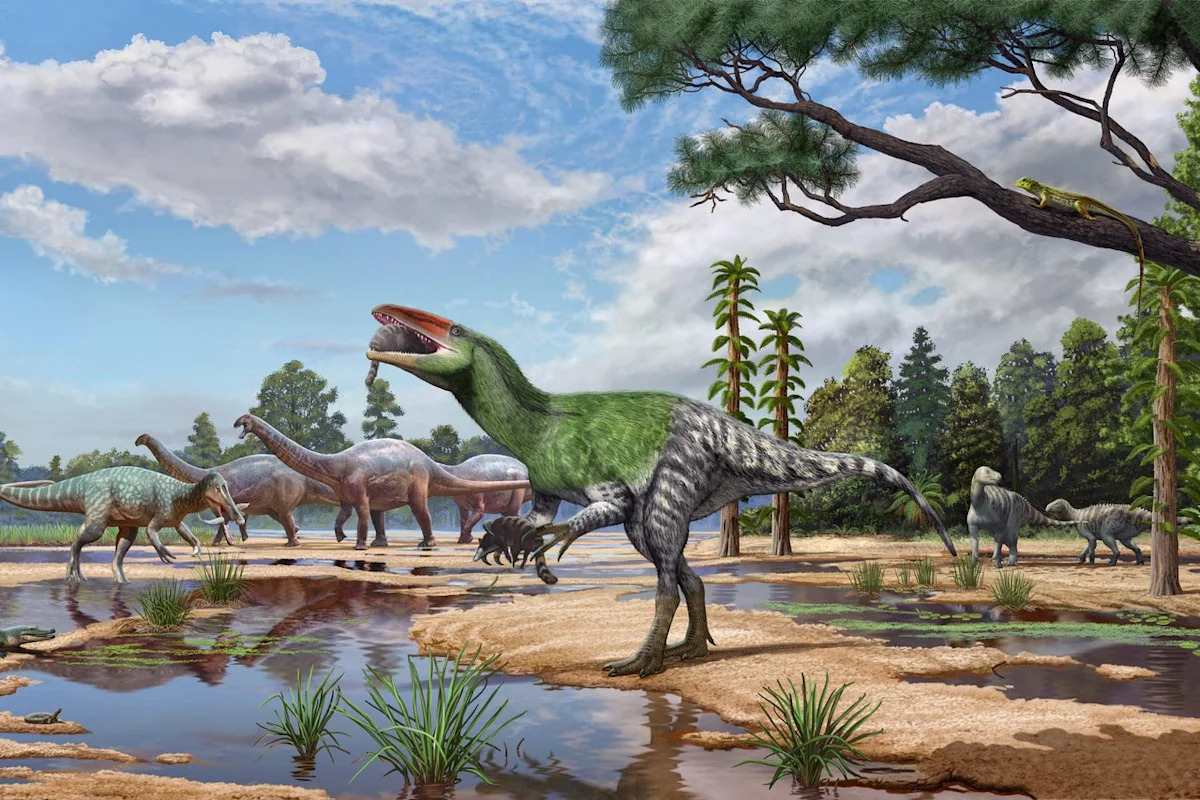 Dinosaur fossil ‘sitting in a drawer’ for 100 years identified as new T-rex relative