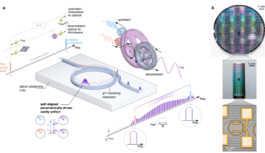 University of Auckland, NIST, and UMD Demonstrate Octave-Spanning Chip-Scale Microcomb in Nature