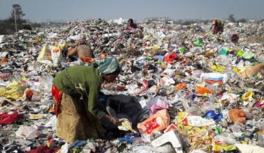 Rotting food waste emits 5 times more greenhouse gases than planes