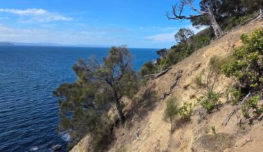 Bushwalker stops just metres from 40-metre cliff after coastal fall