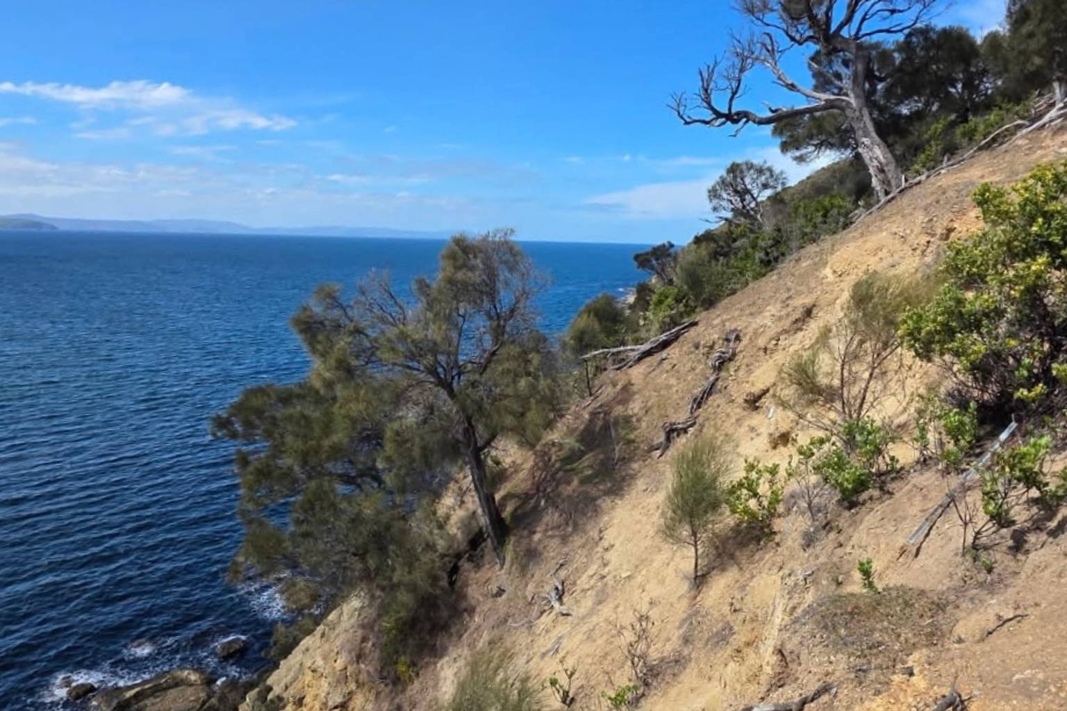 Bushwalker stops just metres from 40-metre cliff after coastal fall