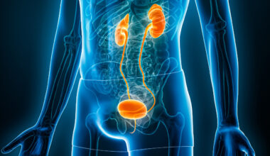 Weight loss medications alter how the brain and kidneys manage body fluids