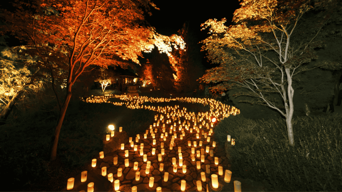Canberra Nara Candle Festival