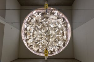 A circular installation filled with illuminated cut-outs of wildlife