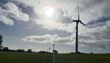 Wind turbine with one red blade at South African wind farm, small songbird on foundation, painting red stripes