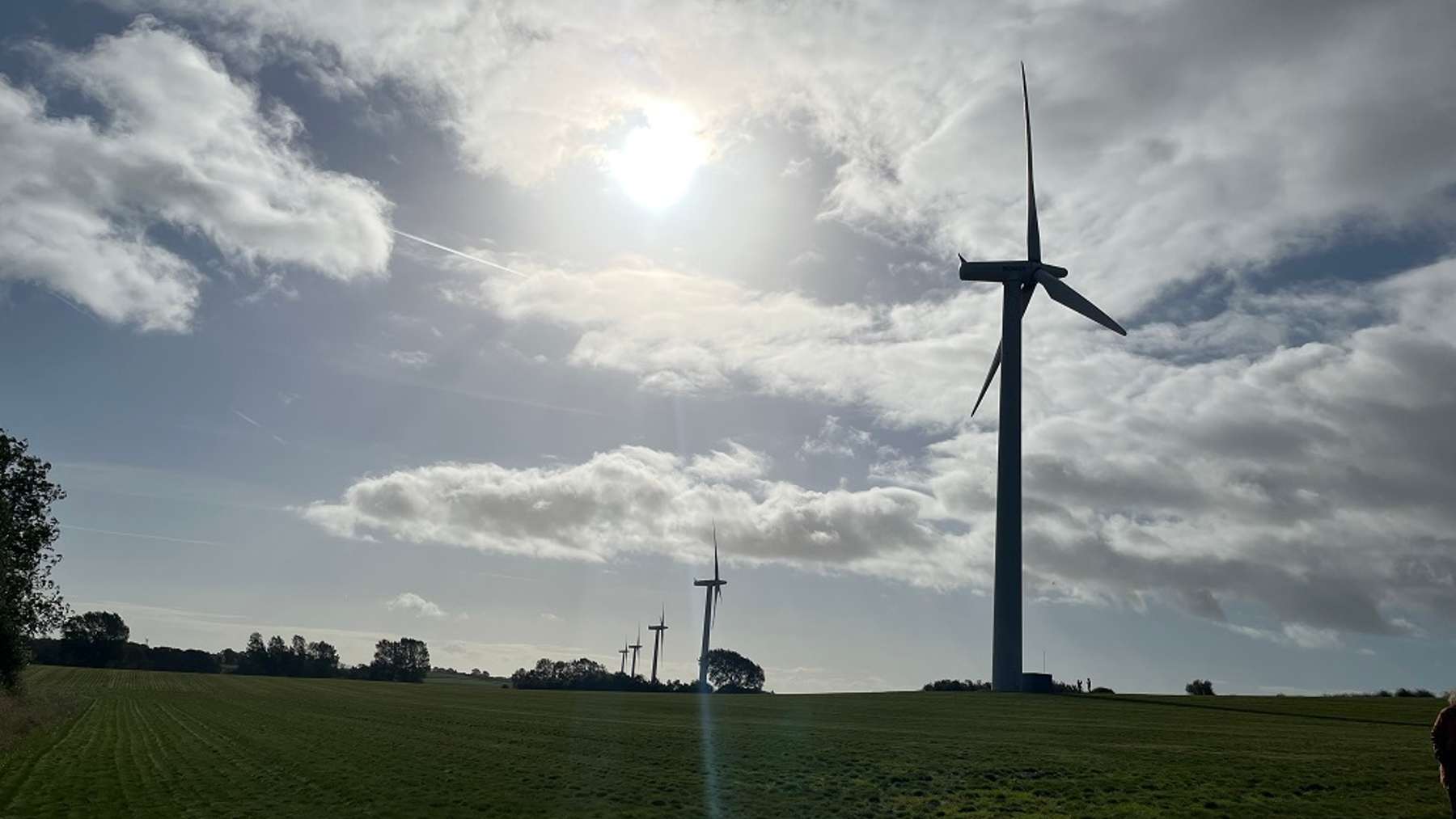 Wind turbine with one red blade at South African wind farm, small songbird on foundation, painting red stripes