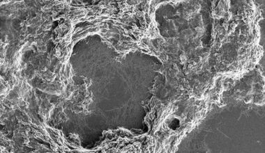 Brown Scholar to Help Lead Federal Neurodegenerative Disease Project 18 October