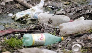 Trash for cash: Israel enters the plastic credit market, but will it reduce pollution