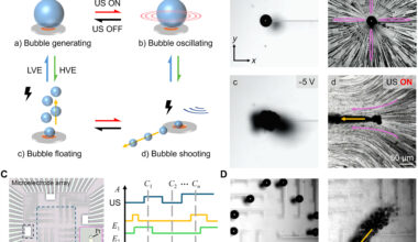 Using Ultrasound And Microbubbles To Make Tiny Devices