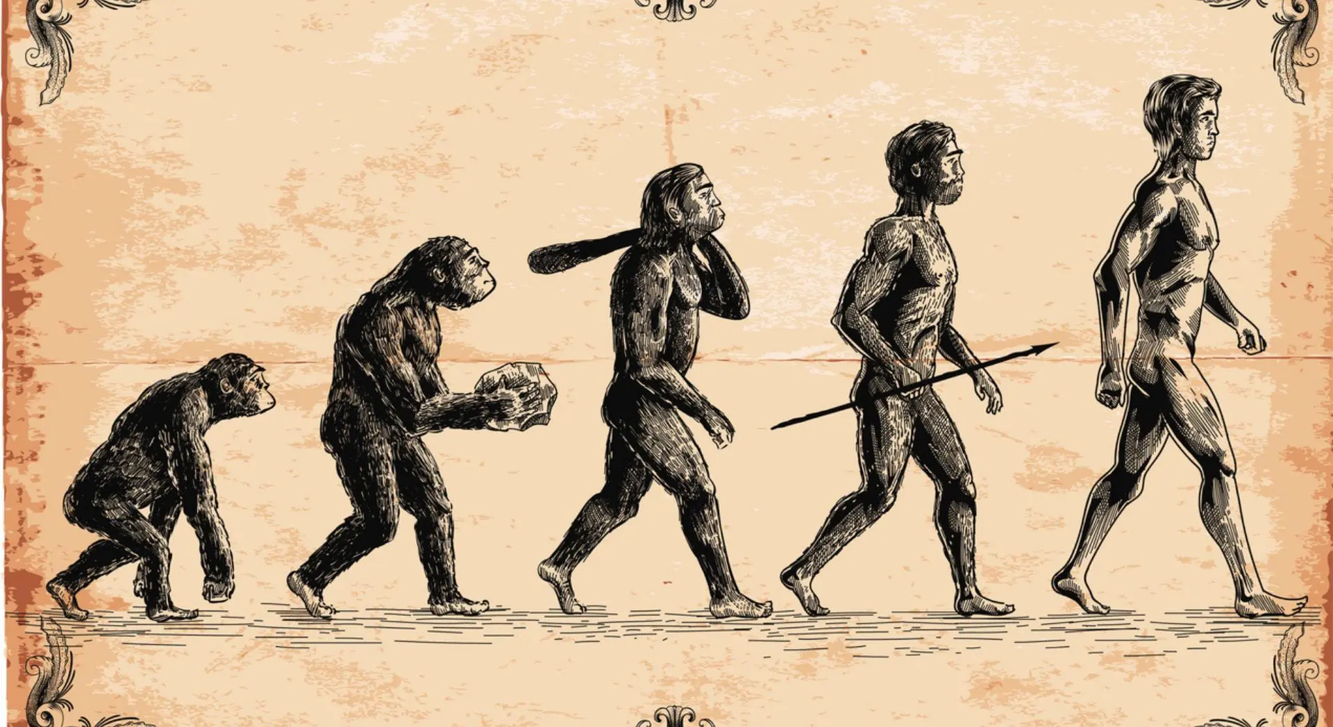 Do you think evolution is over?