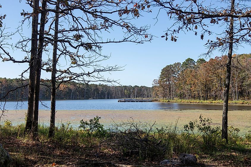 Pinewoods Lake in the Mark Twain National Forest, Missouri.