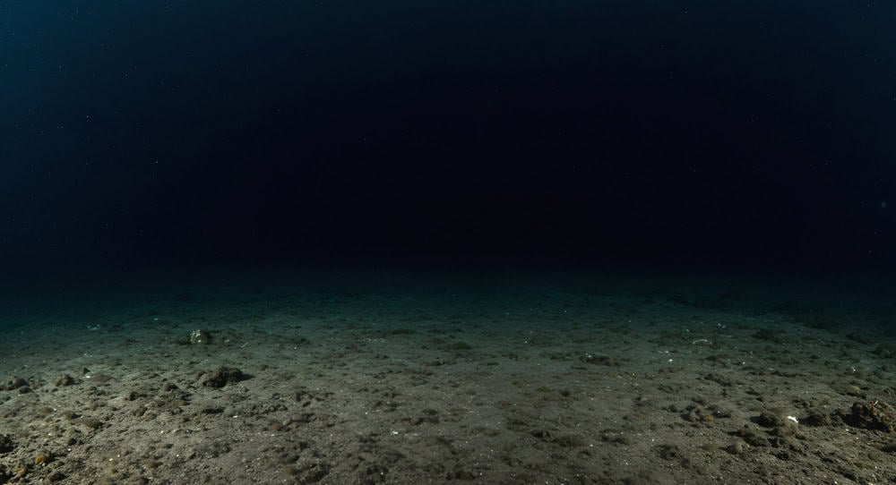 Low-angle view of a dark, deep ocean floor at night, showing a seabed of rocks and sediment under a very dark water column.