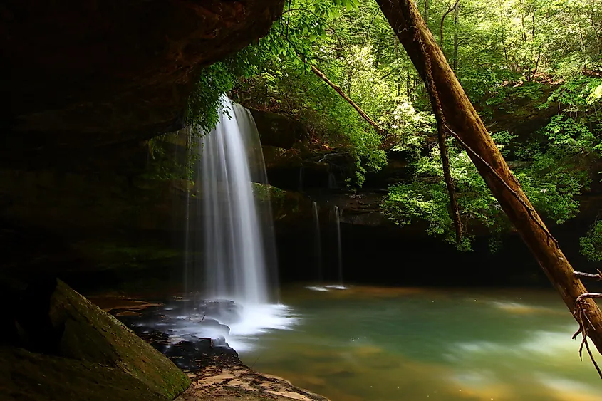 Caney Creek Falls in the William B. Bankhead National Forest, Alabama.